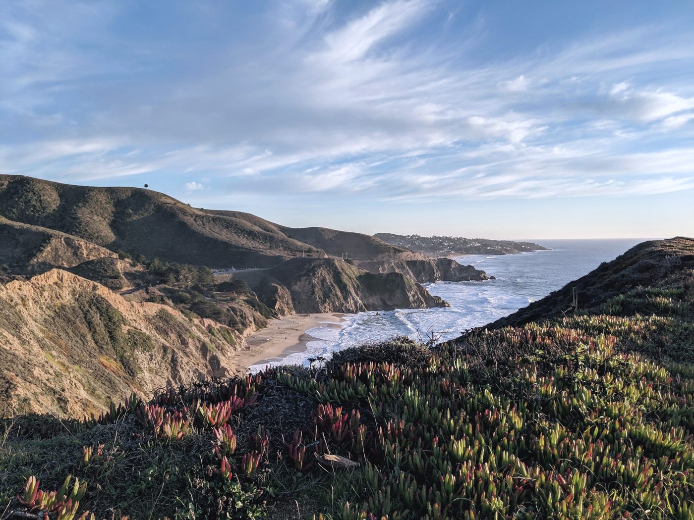 Ice plant on a bluff above a sandy cove and eroded coastal cliffs