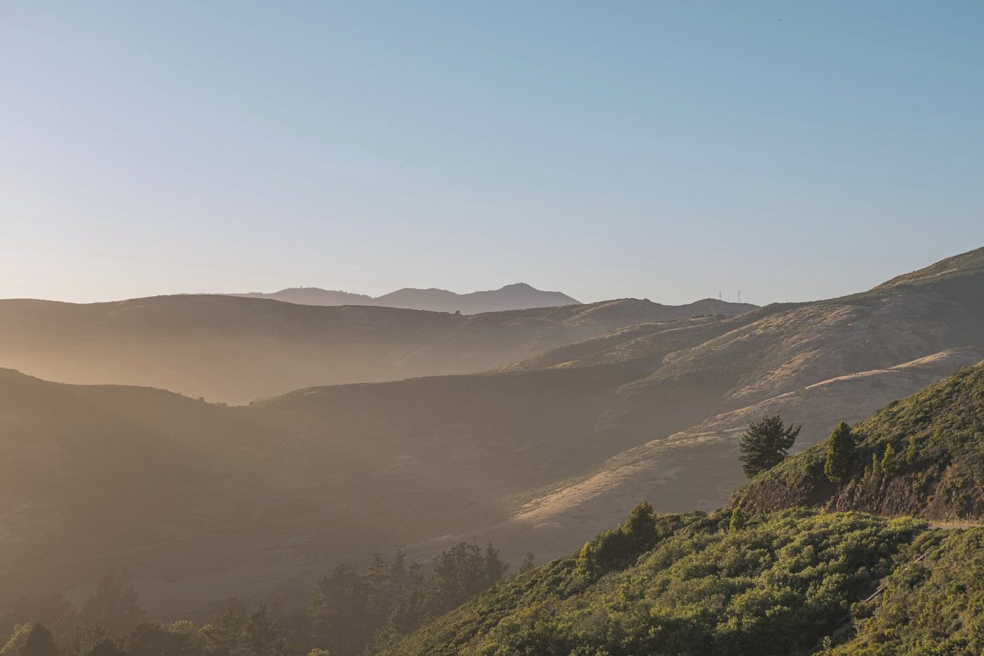 Layered grassy hills in hazy golden light, with a scrub-covered slope in the foreground