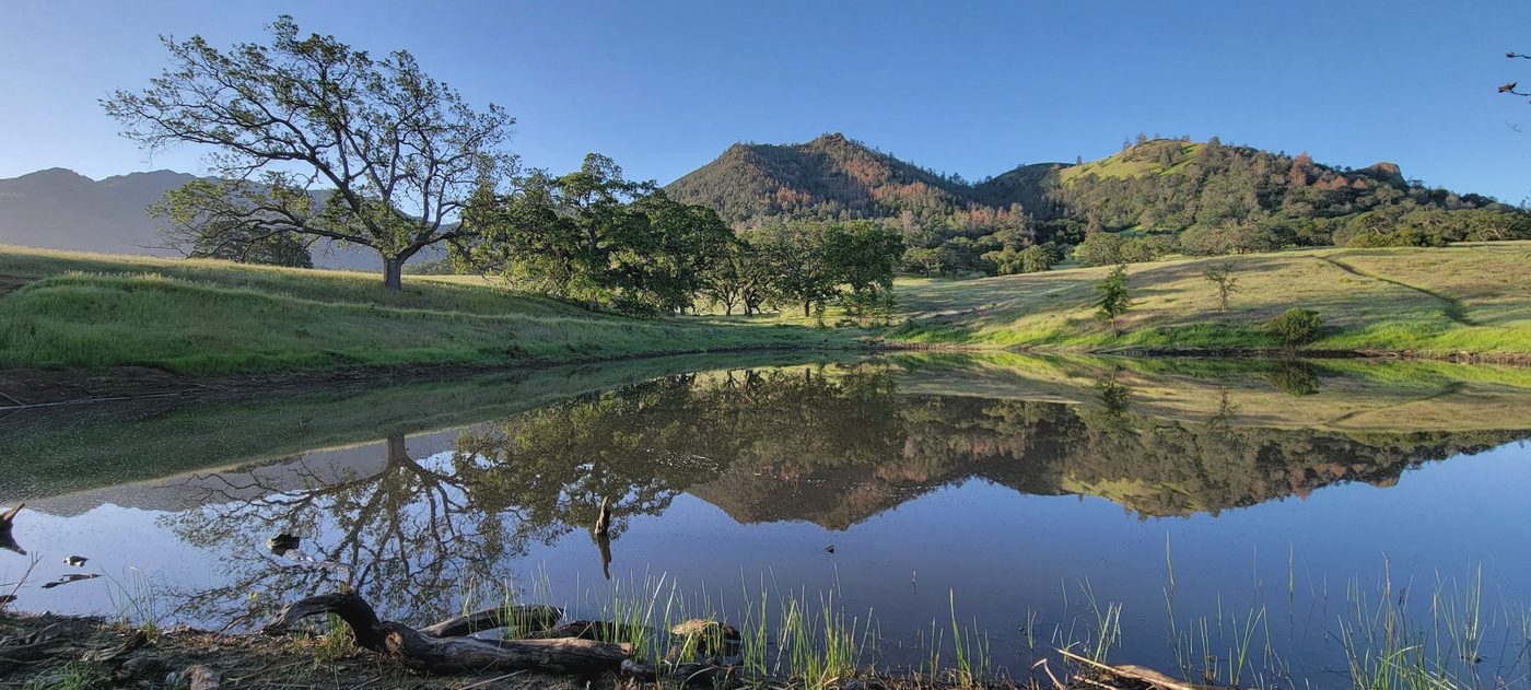 Oak trees and green hills reflected in a still pond under a clear sky