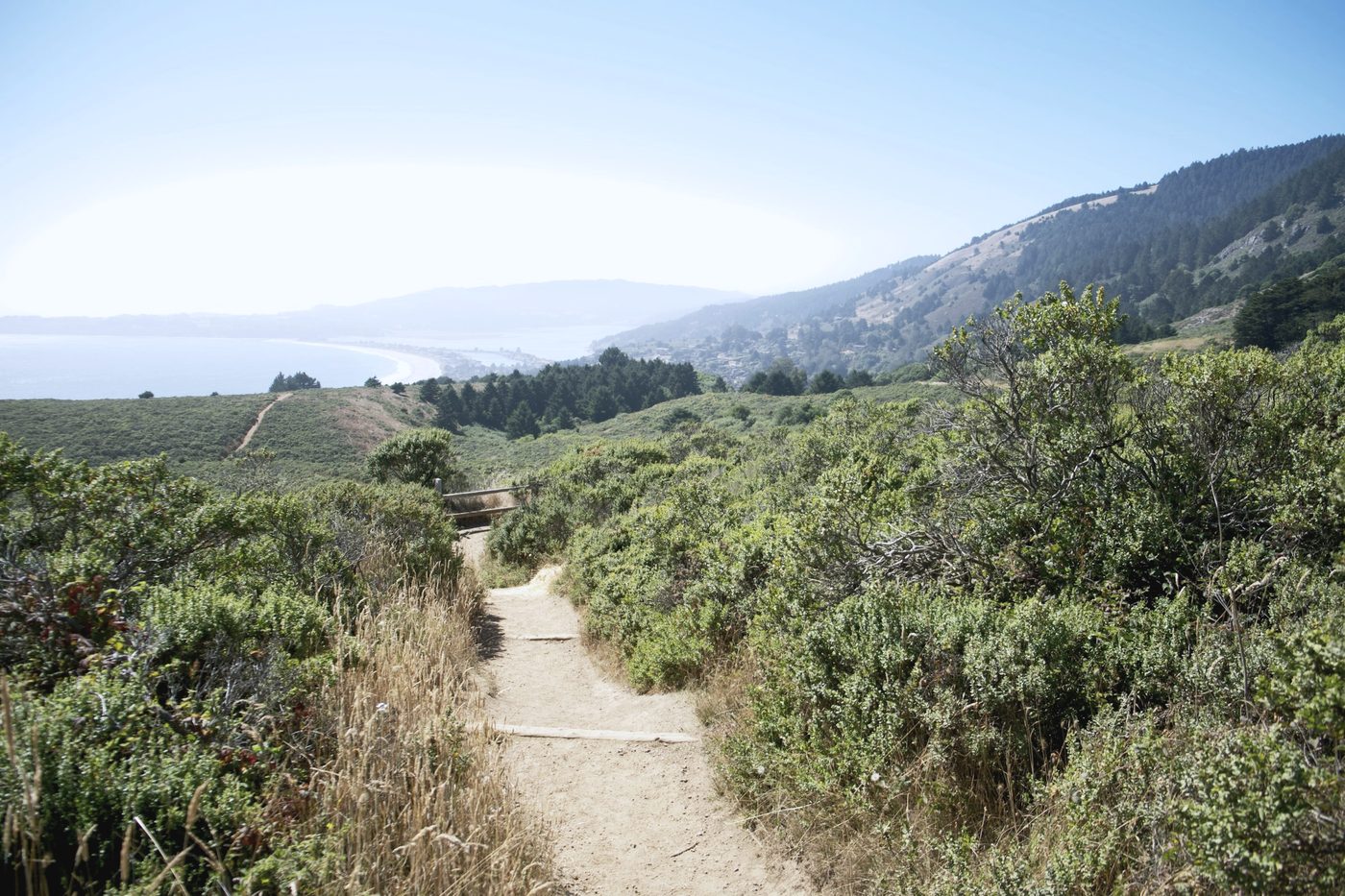 A dirt trail through coastal scrub, with a curving beach and hills in the distance